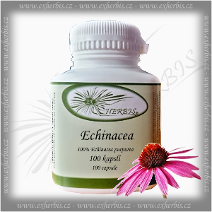 Echinacea Ex Herbis 100 tb.