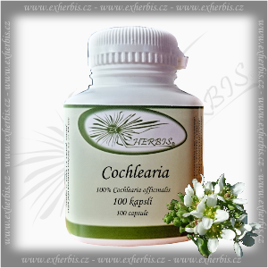 Cochlearia Ex Herbis 100 tb.