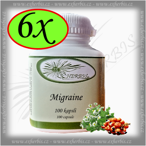 Migraine 6 x 100 tob. Ex Herbis