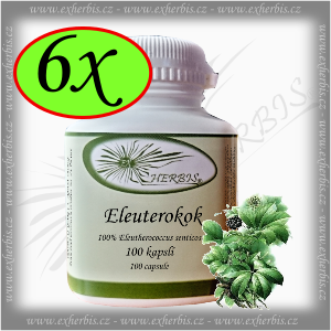 Eleuterokok Ex Herbis 6 x 100 tb.
