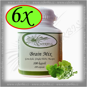 Brain Mix Ex Herbis 6 x 100 tb.