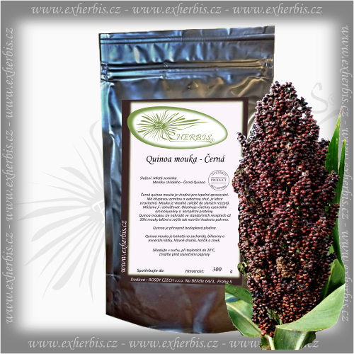 Quinoa mouka Černá 300 g Ex Herbis