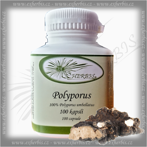 Polyporus Choroš oříš 100 tb. Ex Herbis