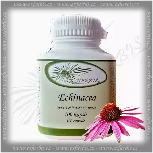 Bylinné kapsle Echinacea Ex Herbis 100 tb.