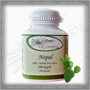 Nopal Ex Herbis 100 tb.