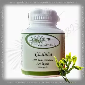 Bylinné kapsle Chaluha Ex Herbis 100 tb.