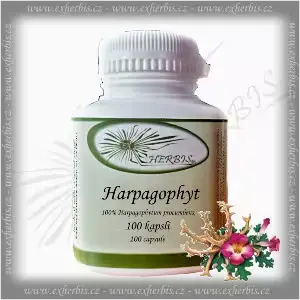 Bylinné kapsle Harpagophyt  Ex Herbis 100 tb.