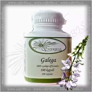 Bylinné kapsle Galega 100 tb Ex Herbis