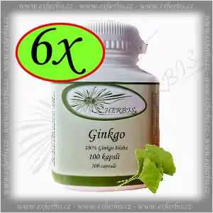 Bylinné kapsle Ginkgo biloba Ex Herbis 6 x 100 tb.
