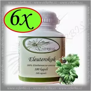 Bylinné kapsle Eleuterokok Ex Herbis 6 x 100 tb.