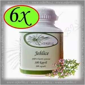 Bylinné kapsle Jehlice trnitá 6 x 100 tb. Ex Herbis