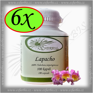 Lapacho  Ex Herbis 6 x 100 tb.