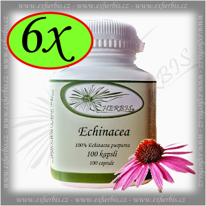 Echinacea Ex Herbis 6 x100 tb.
