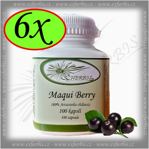 Maqui Berry Ex Herbis 6 x 100 tb.