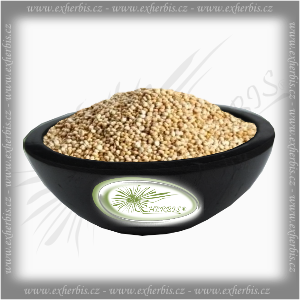 Quinoa Bílá 500 g Ex Herbis