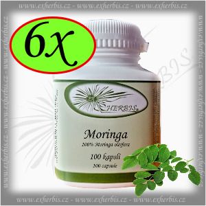 Bylinné kapsle Moringa olejodárná Ex Herbis 6 x 100 tb.