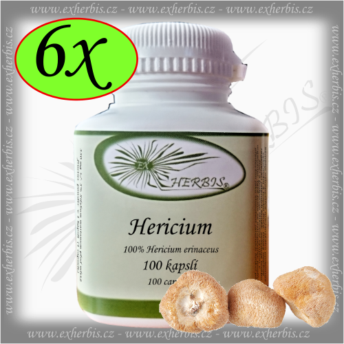 Hericium Korálovec ježatý 6 x 100 tb. Ex Herbis