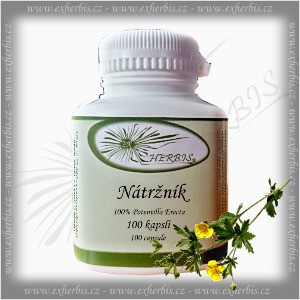 Bylinné kapsle Nátržník 100 tb. Ex Herbis 